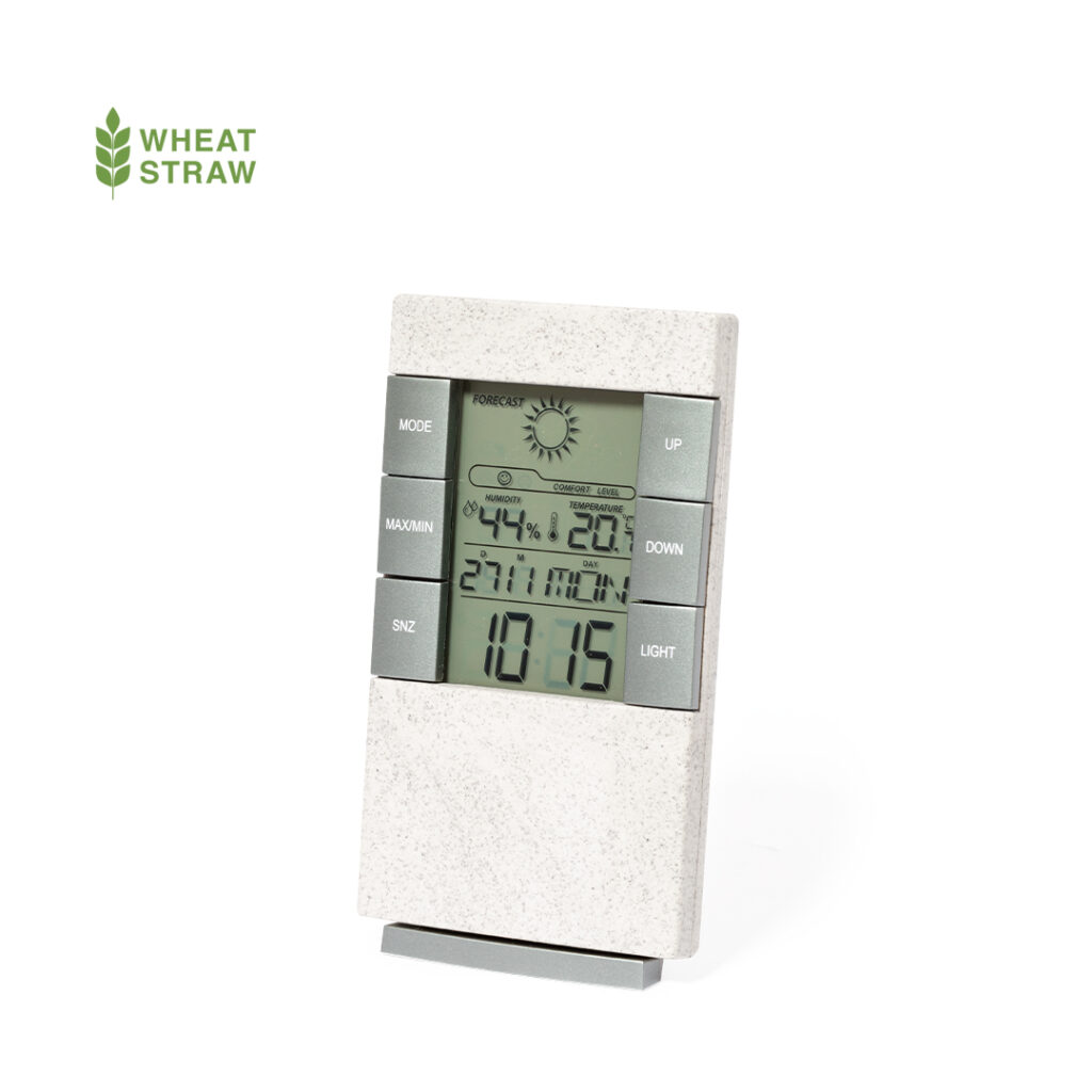 WEATHER STATION MAGINLY - Image 1