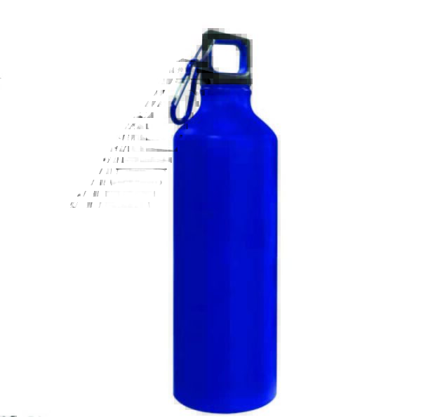 Sports Bottles